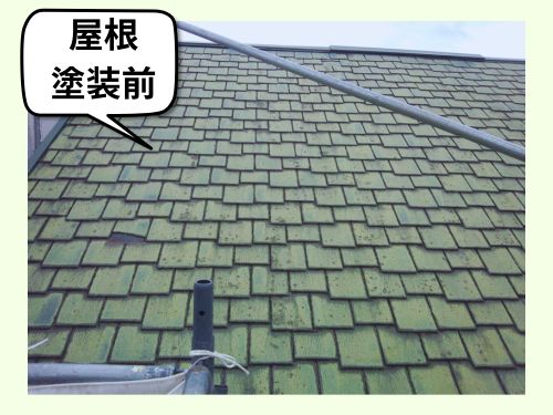 【周南市】屋根と外壁の現地調査241213