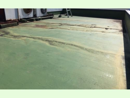 周南市の某店舗様~屋上防水工事現場調査
